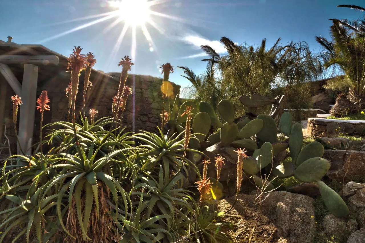 Villa Elena - Photo 2