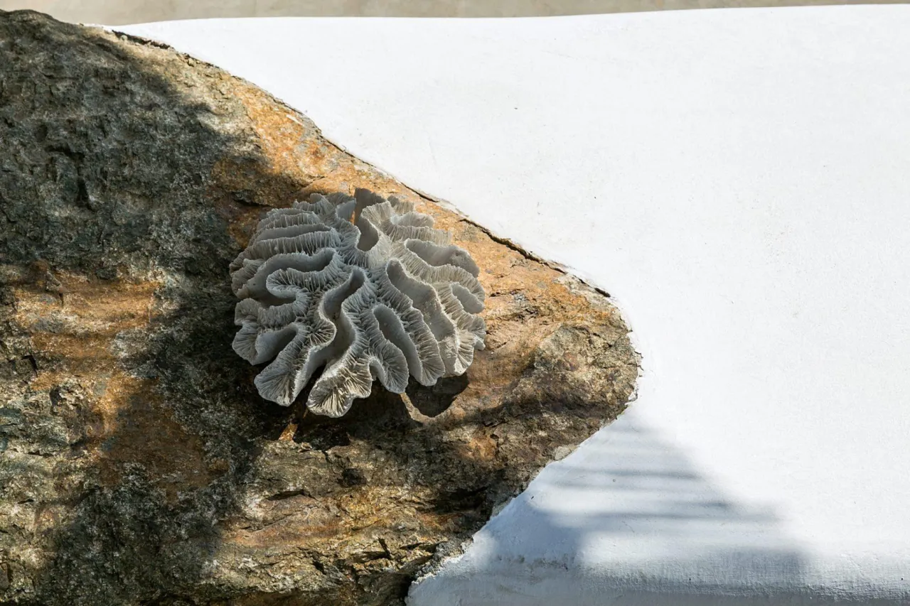 Villa Lenora - Photo 1