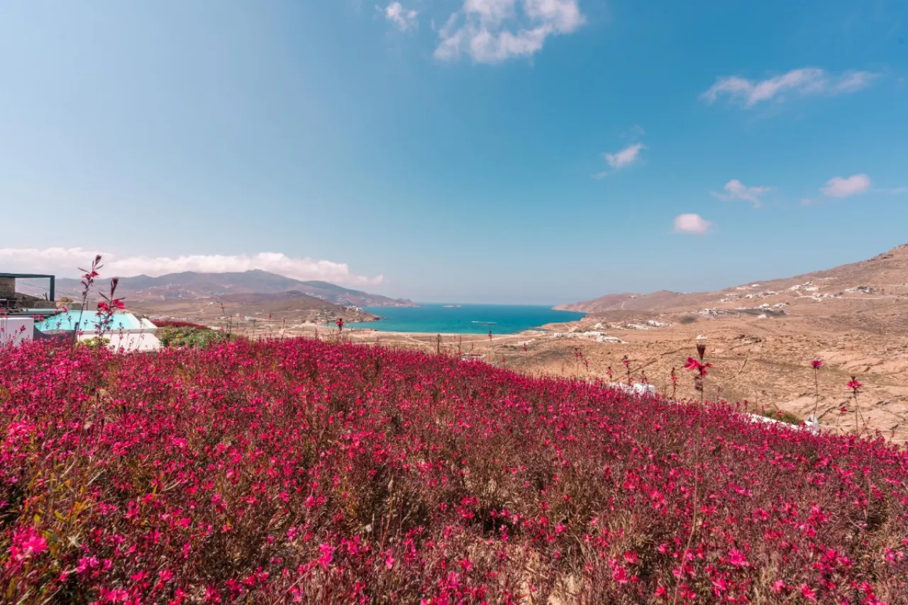 Villa Heder - Photo 2