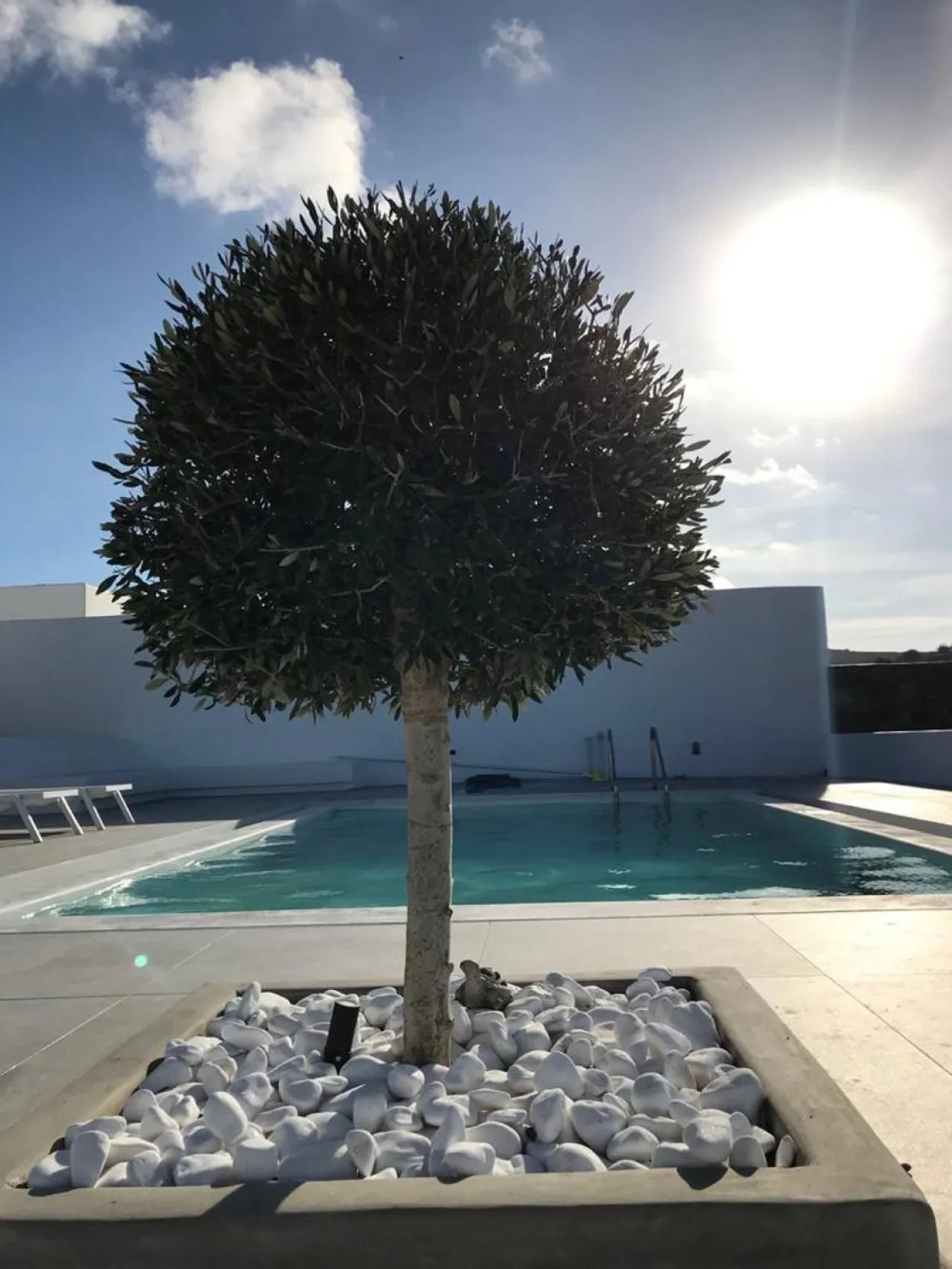 Villa Astaire - Photo 4