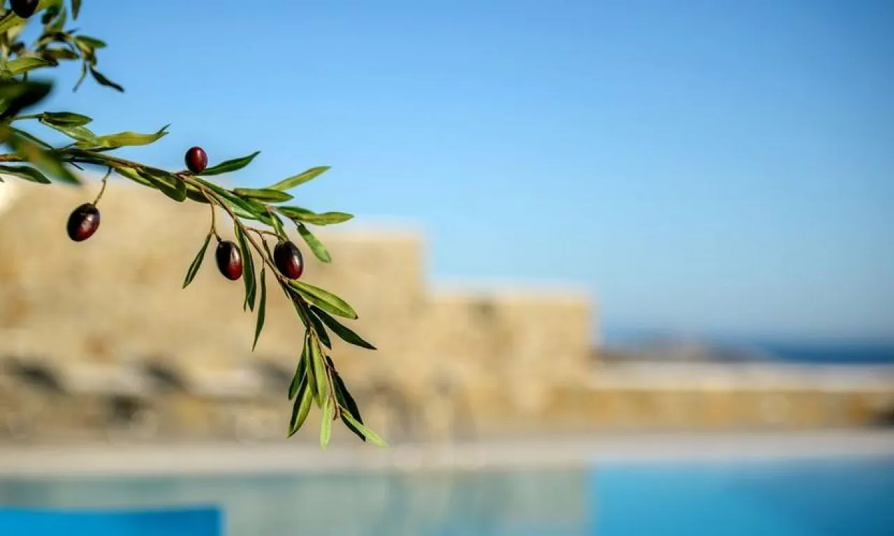 Villa Kimberly - Photo 4