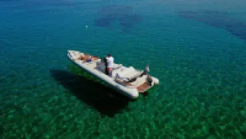 Fost Obsession 28 Diesel 