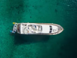 Main photo of Falcon 86